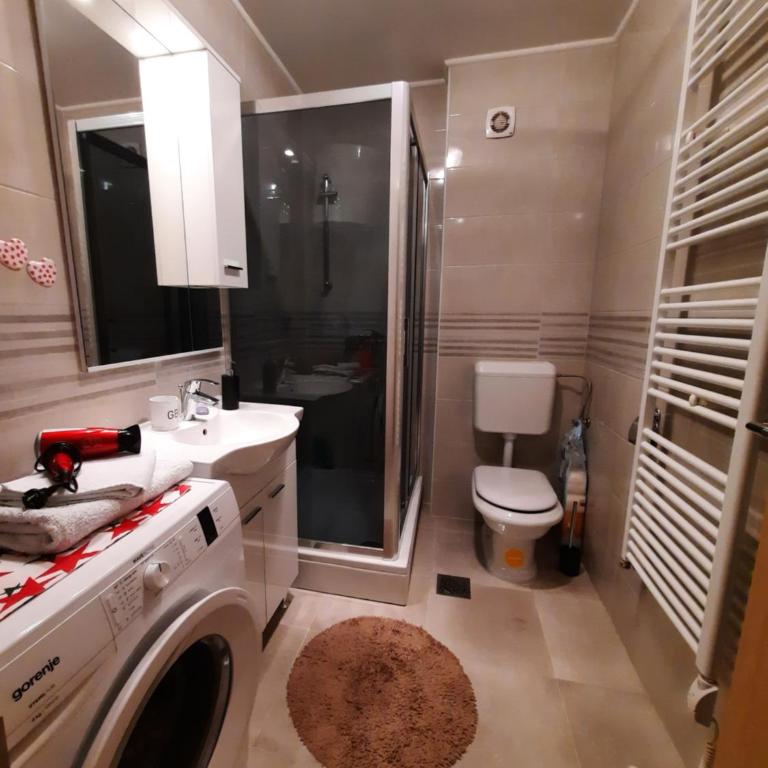 Apartman Borislava - Apartman sa 1 Spavaćom Sobom - 12