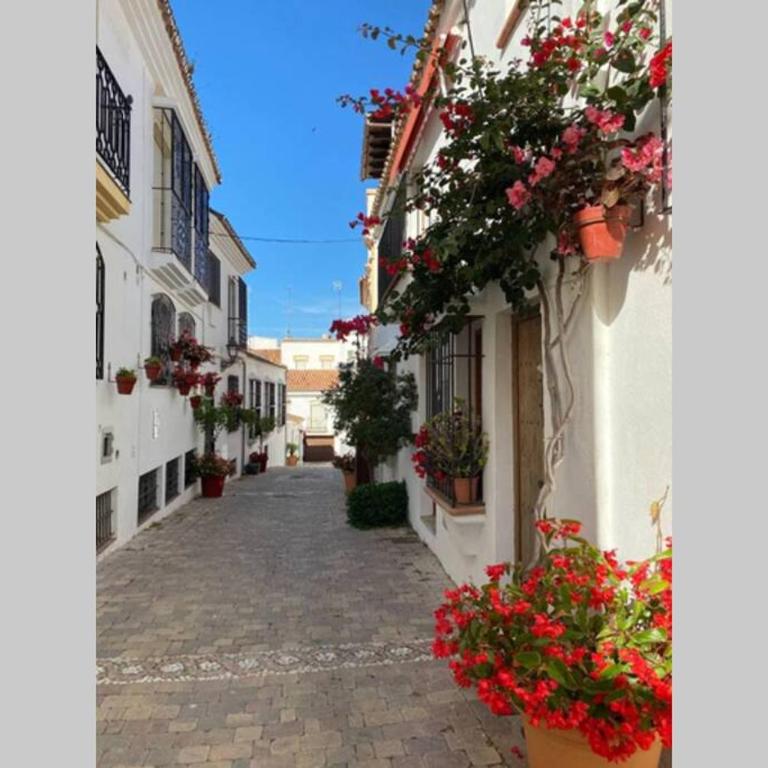 Estepona Seaview Apartment SELETUR - Apartamento de 2 dormitorios - 29