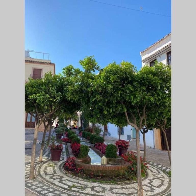 Estepona Seaview Apartment SELETUR - Apartamento de 2 dormitorios - 24