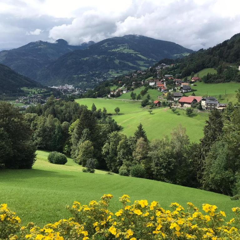 Landhaus Schönblick - Apartment mit Blick auf die Berge - 35