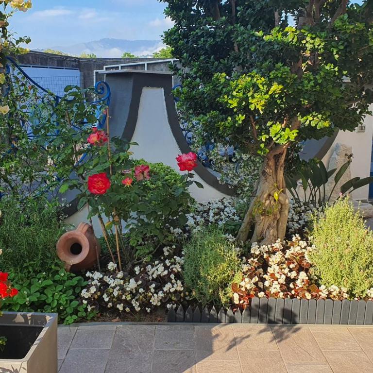 Sorrento Garden Room - Appartamento con 2 Camere da Letto - 18