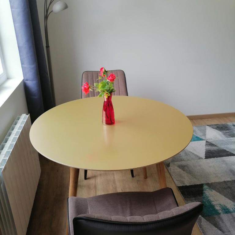 Villa des Roses - Appart T2, 32m2, RDC, vue sur jardin, "Le chic" - Apartment mit 1 Schlafzimmer - 10