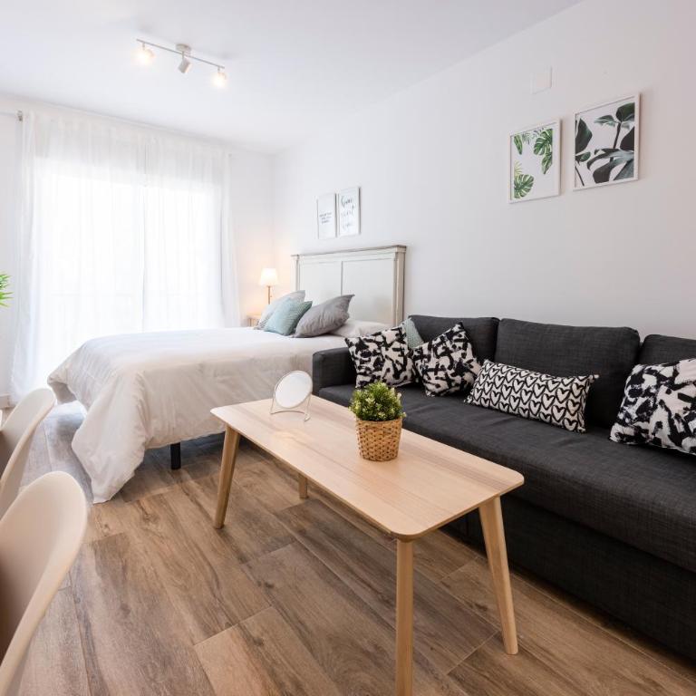 Apartamentos Toboso Plaza - Estudio - 6