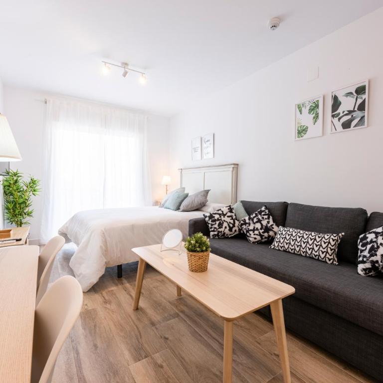 Apartamentos Toboso Plaza - Estudio - 5