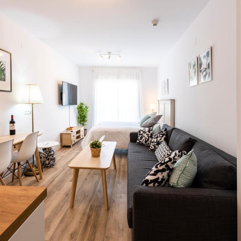 Apartamentos Toboso Plaza - Estudio - 3