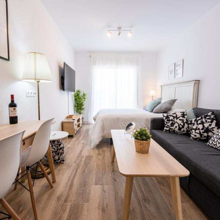Apartamentos Toboso Plaza - Estudio - 4