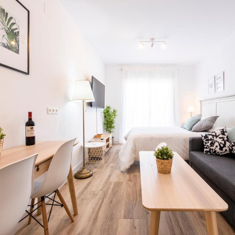 Apartamentos Toboso Plaza - Estudio - 7