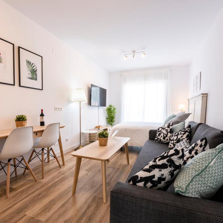Apartamentos Toboso Plaza - Estudio - 2