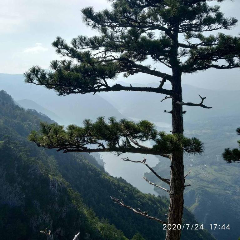 Apartman "Milka" Bajina Bašta - Apartman sa 1 Spavaćom Sobom - 23