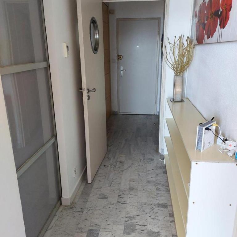 AJACCIO VUE IMPRENABLE APPT 3 P POUR 4 OU 5 PERSONNES SANGUINAIRES 300M PLAGES ET MERPERSONNES - Appartement 2 Chambres - 6