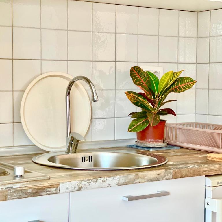 Garden House Budva - Apartman sa Pogledom na Vrt - 19