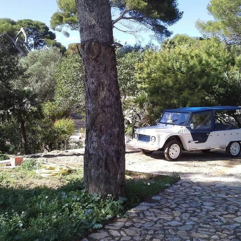 Villa Niel - accès direct mer et piscine chauffée - Villa - 32