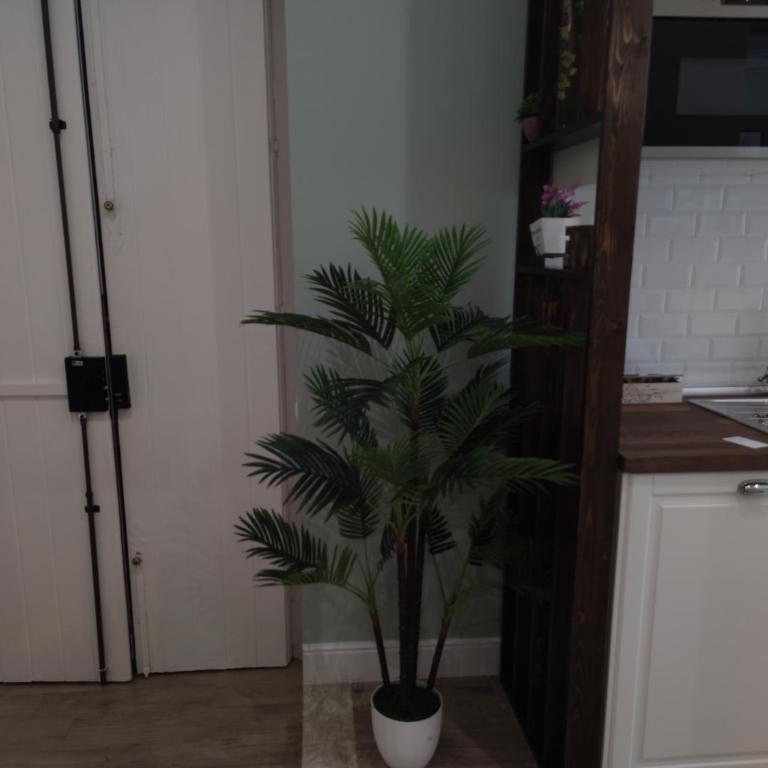D'Annunzio Street Apartment - One-Bedroom Apartment - 34