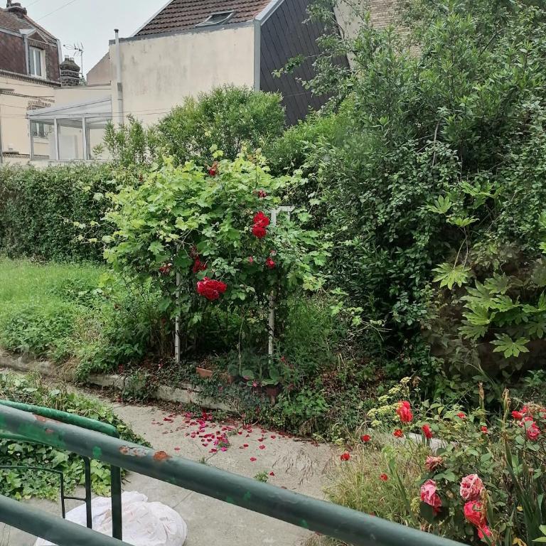 Villa des Roses - Appart T2, 32m2, RDC, vue sur jardin, "Le chic" - Apartment mit 1 Schlafzimmer - 24