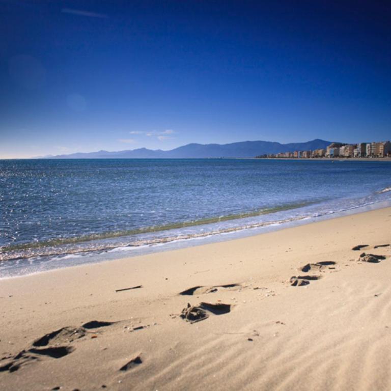 L'Escale Catalane, 50m de la plage, 36m2, parking - Appartement 1 Chambre - 15
