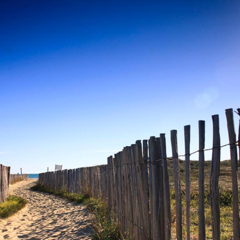 L'Escale Catalane, 50m de la plage, 36m2, parking - Appartement 1 Chambre - 14