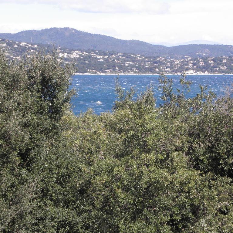 Villa Ingrid - Chambre Double avec Balcon - Vue sur Mer - 1