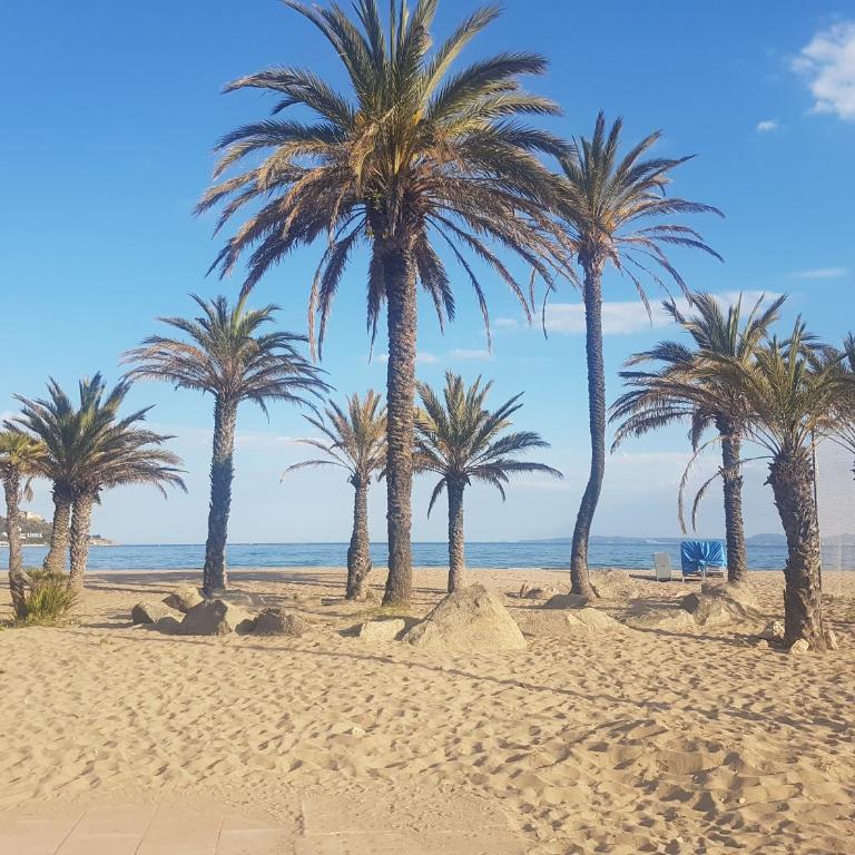 Beautiful apartment in front of beach, pool, view - Two-Bedroom Apartment - 40