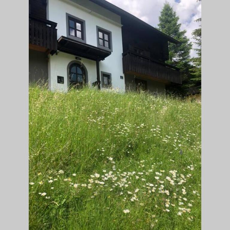 Appartement mit Hüttenflair - Apartment mit 2 Schlafzimmern - 13