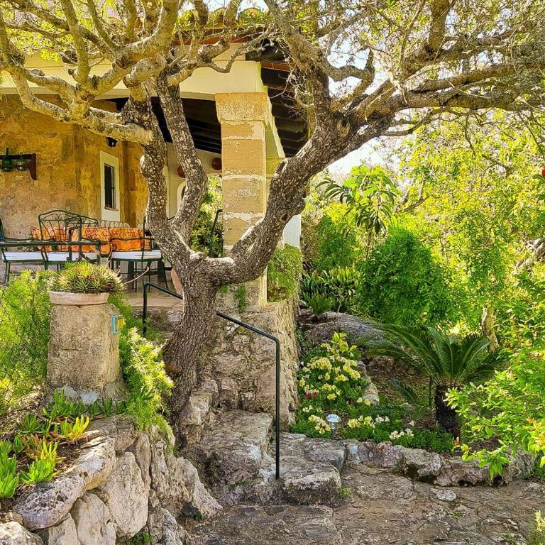 Villa Nord - Typical Majorcan Villa, private pool, bbq, mediterranean garden, petfriendly - Villa - 27