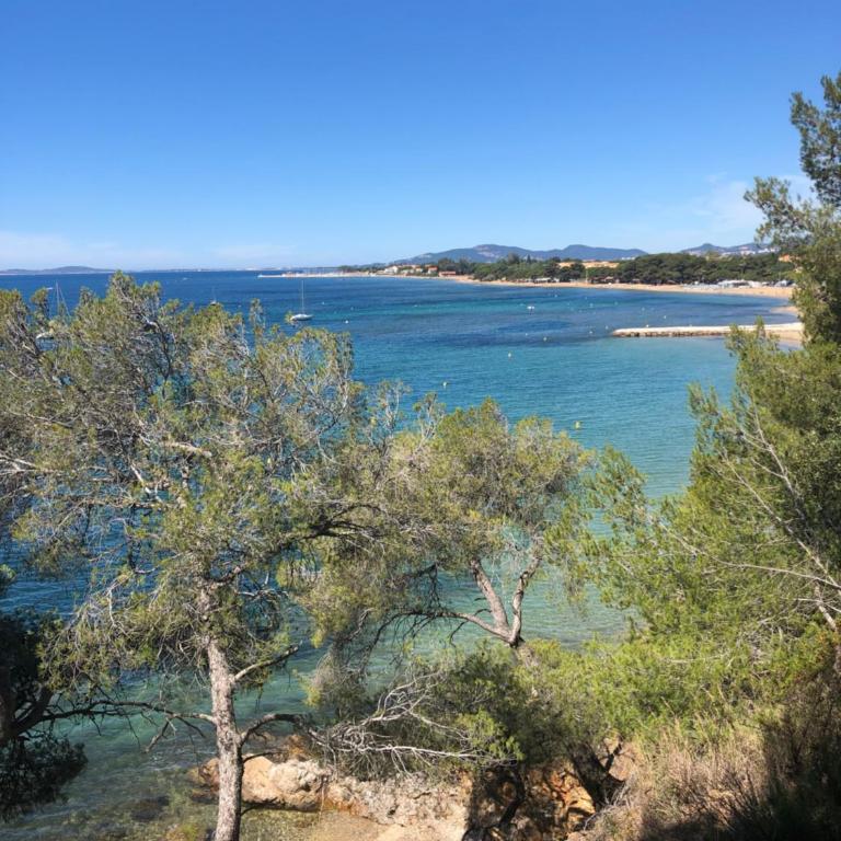 Studio L’ARGENTIERE PLAGE - Studio with Sea View - 1
