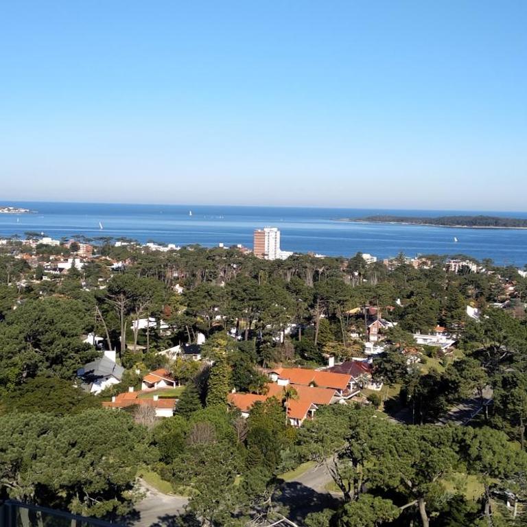 Vista Privilegiada - Apartamento de 1 dormitorio - 42