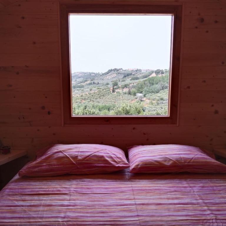 La casetta sotto l'albero LA CAROVANA GITANA - Double Room with Terrace - 7