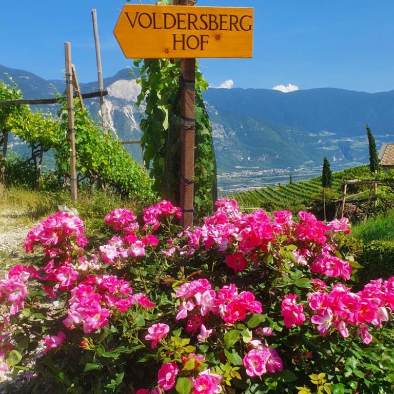 Voldersberghof - Apartamento de 3 dormitorios - 1