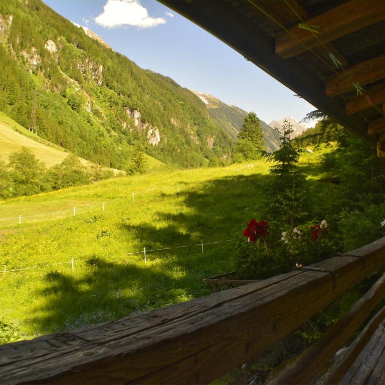 Urige Alm - Apartment mit 3 Schlafzimmern - 8
