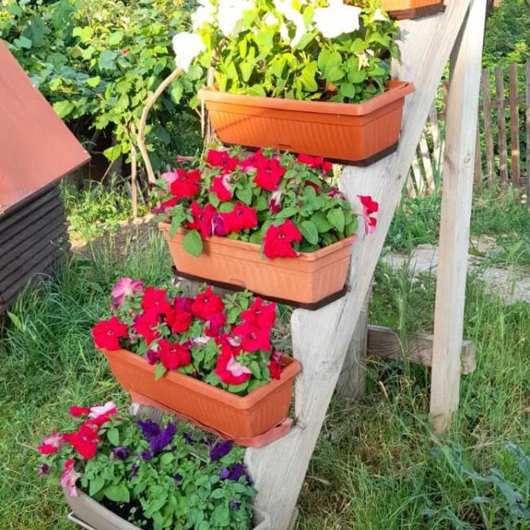 Apartment Kantarije - Apartman - Prizemlje - 12