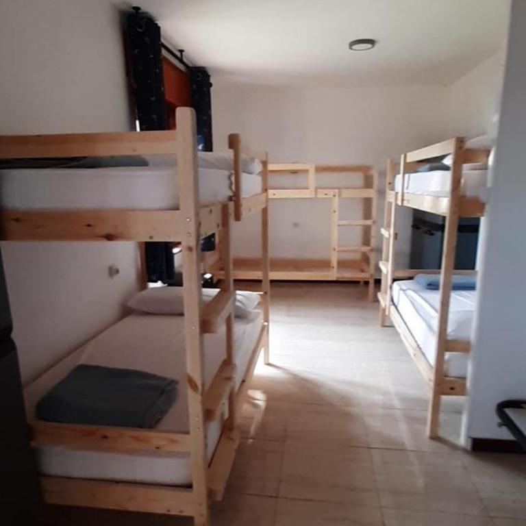 Albergue La Costana - Cama individual en habitación compartida mixta - 3