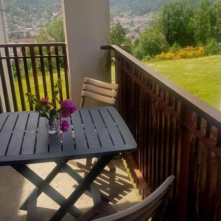 LES DRYADES Vue montagne - Studio Familial - 1