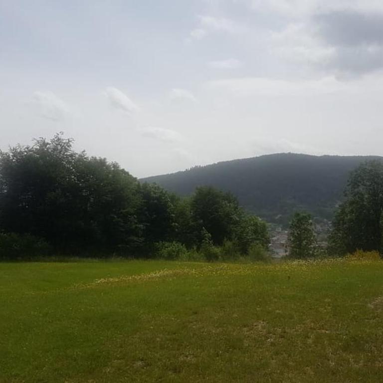 LES DRYADES Vue montagne - Studio Familial - 11