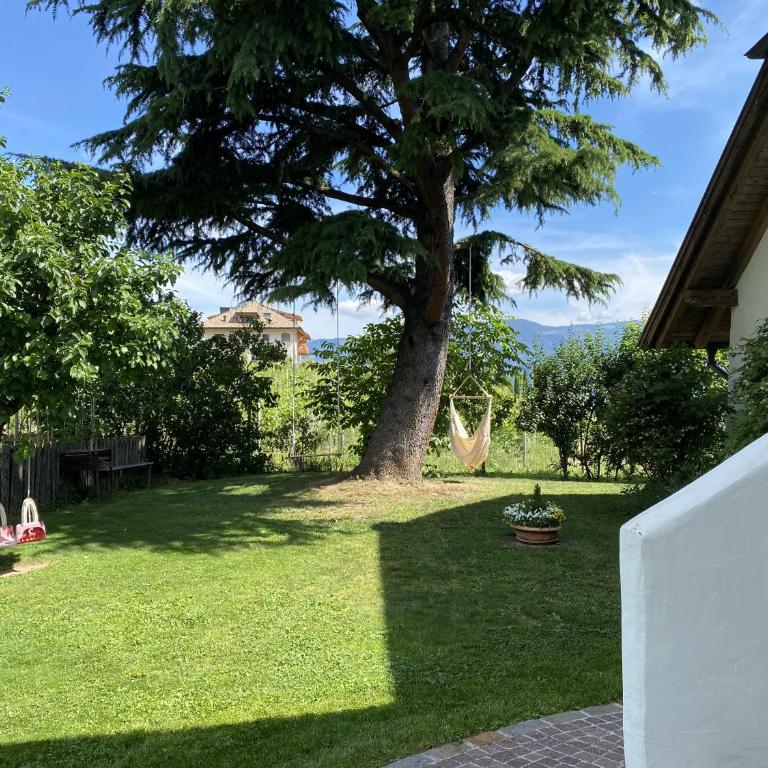 Platzlhof - Appartamento con Balcone - 4
