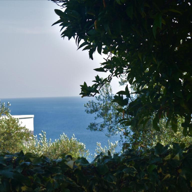 Guesthouse HHL - Liman ll - Apartman sa Pogledom na More - 14