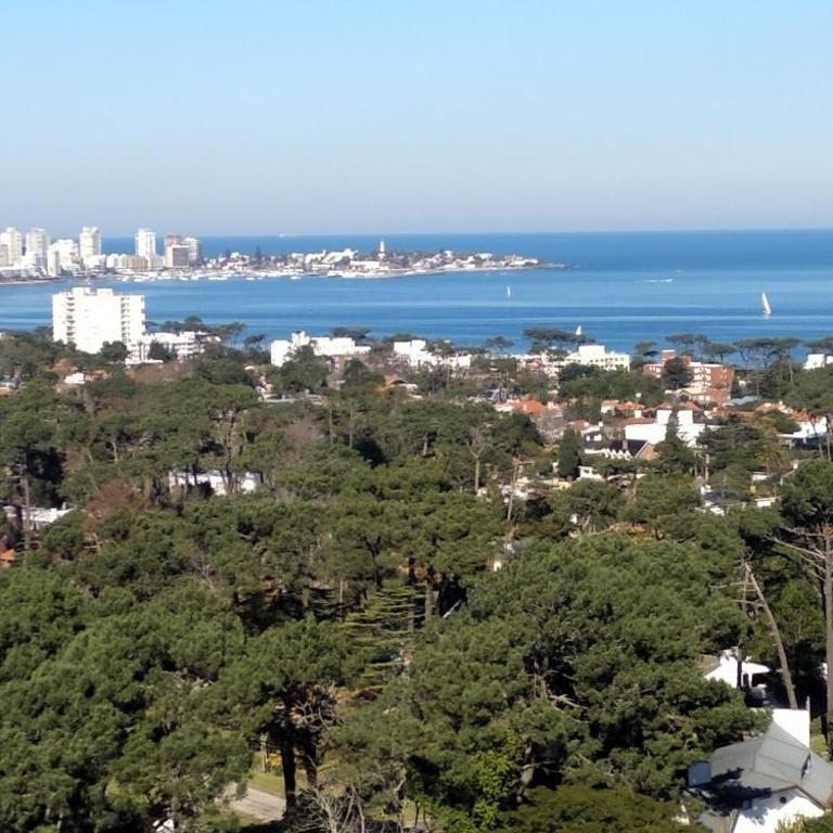 Vista Privilegiada - Apartamento de 1 dormitorio - 37