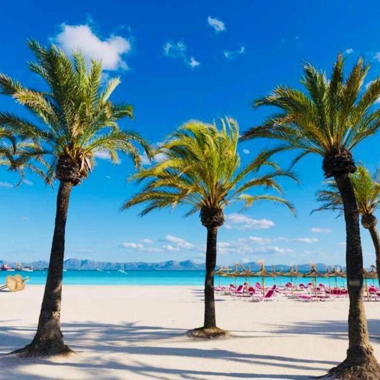 Verano ETERNO en Mallorca - Alcudia! - Apartamento de 1 dormitorio - 25