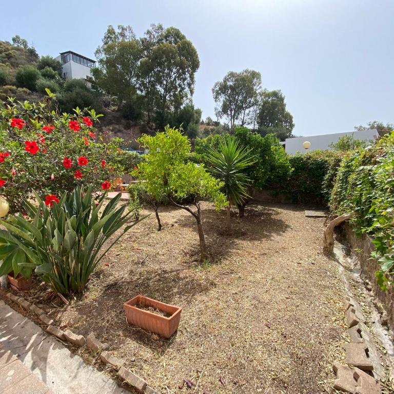 Villa a Lipari - Villa Standard - 22