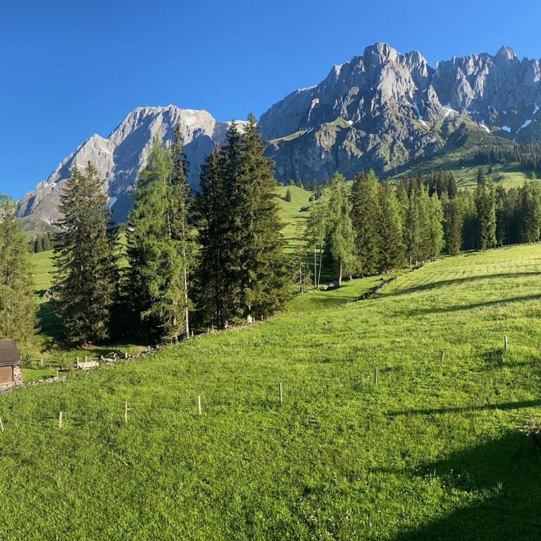 Appartementhaus Hochkönig - Panoramablick - Apartment mit 2 Schlafzimmern - 6