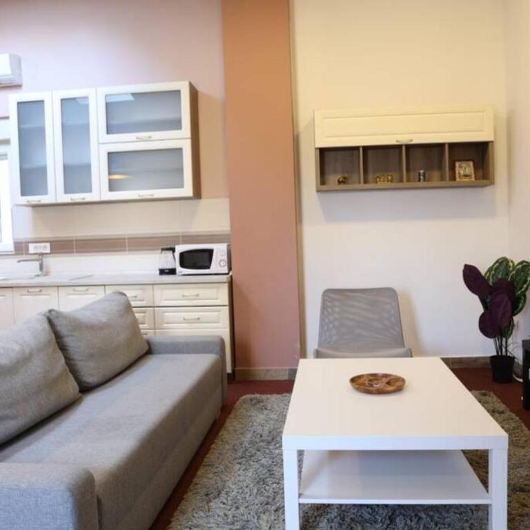 Belgrade Center Apartment Nusiceva - Apartman sa 3 Spavaće Sobe - 23