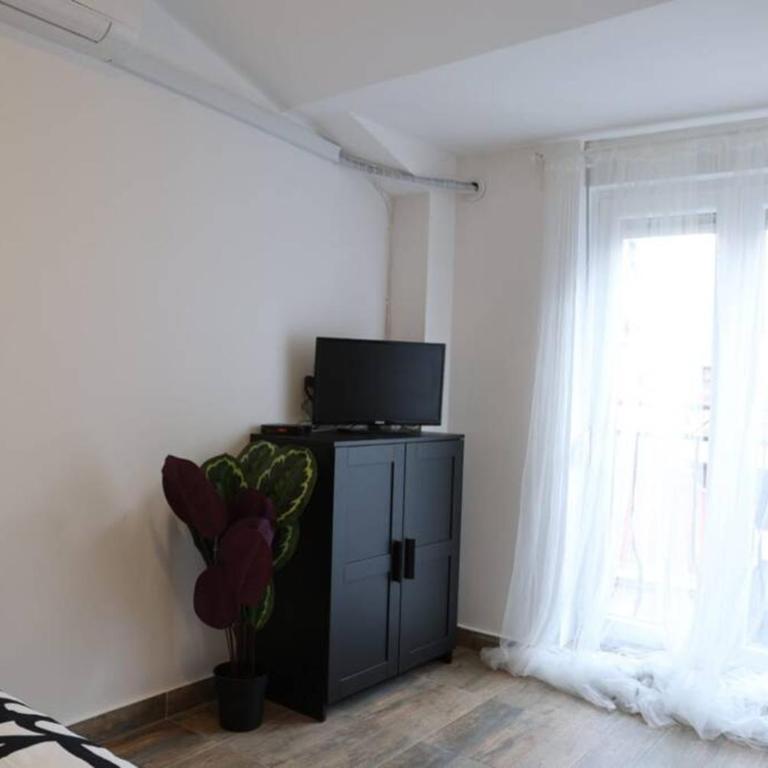 Belgrade Center Apartment Nusiceva - Apartman sa 3 Spavaće Sobe - 24