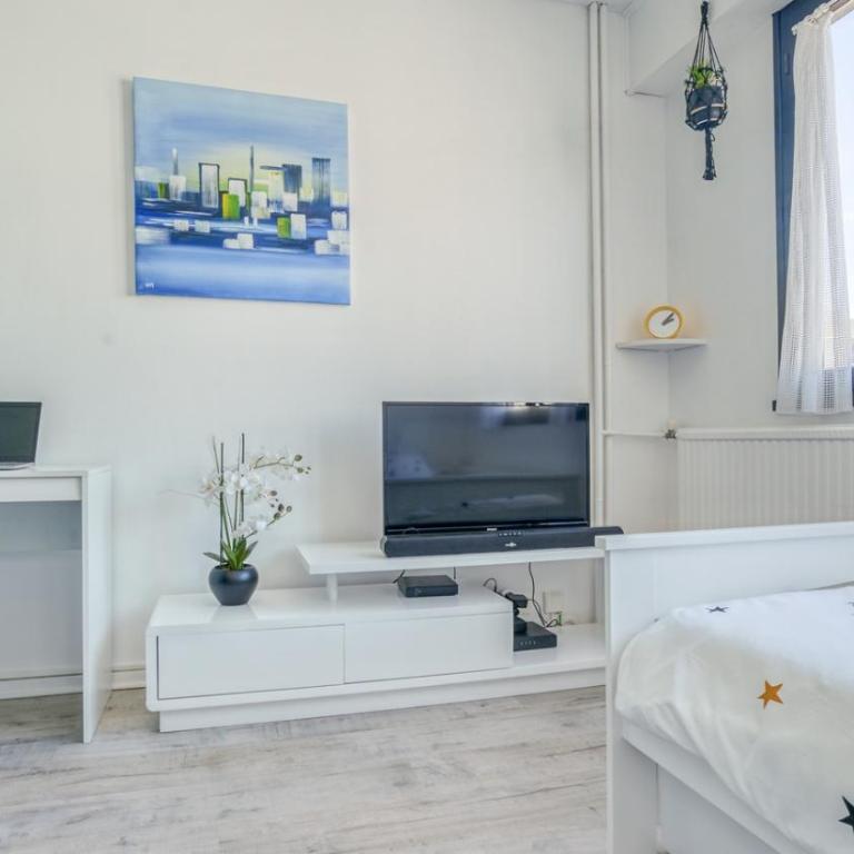 Céanothe-InvIRI. Studio Mairie. Parking Privatif - Appartement - 1