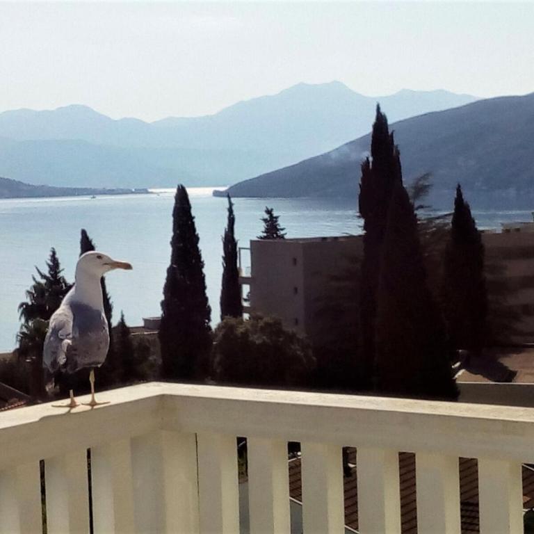 Villa Boka Sunrise Apartments - Studio Apartment with Sea View - 23