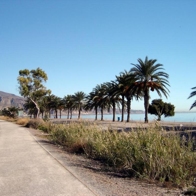 APARTAMENTO LAS PALMERILLAS-RESIDENCIAL TORREQUEBRADA - Two-Bedroom Apartment - 6