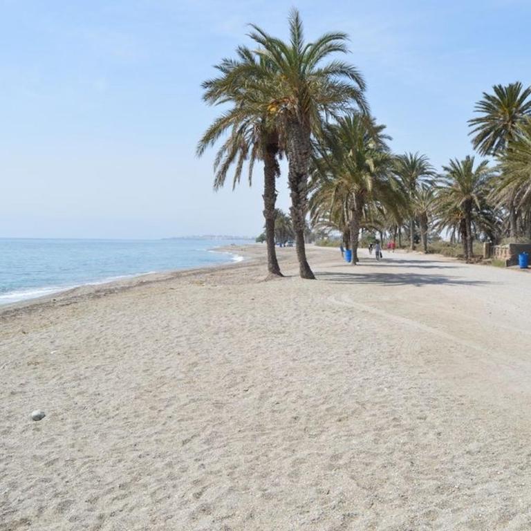 APARTAMENTO LAS PALMERILLAS-RESIDENCIAL TORREQUEBRADA - Two-Bedroom Apartment - 5