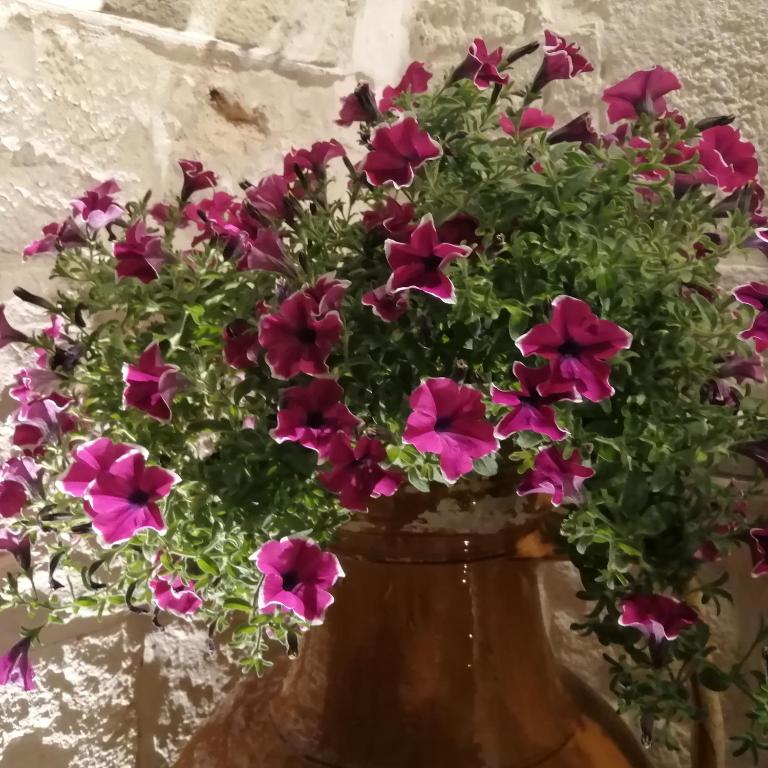 AnnaS Trulli Paradise-Alberobello - Casa con 2 Camere da Letto - 38