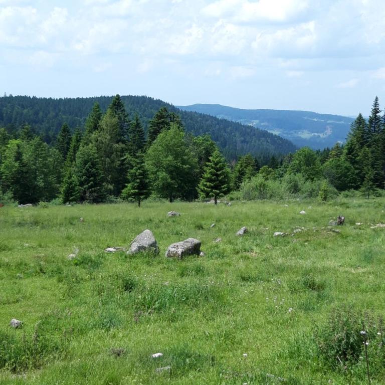 Les Jonquilles: gîte 8/10 pers. avec vue imprenable! - Appartement avec Vue sur la Montagne - 26