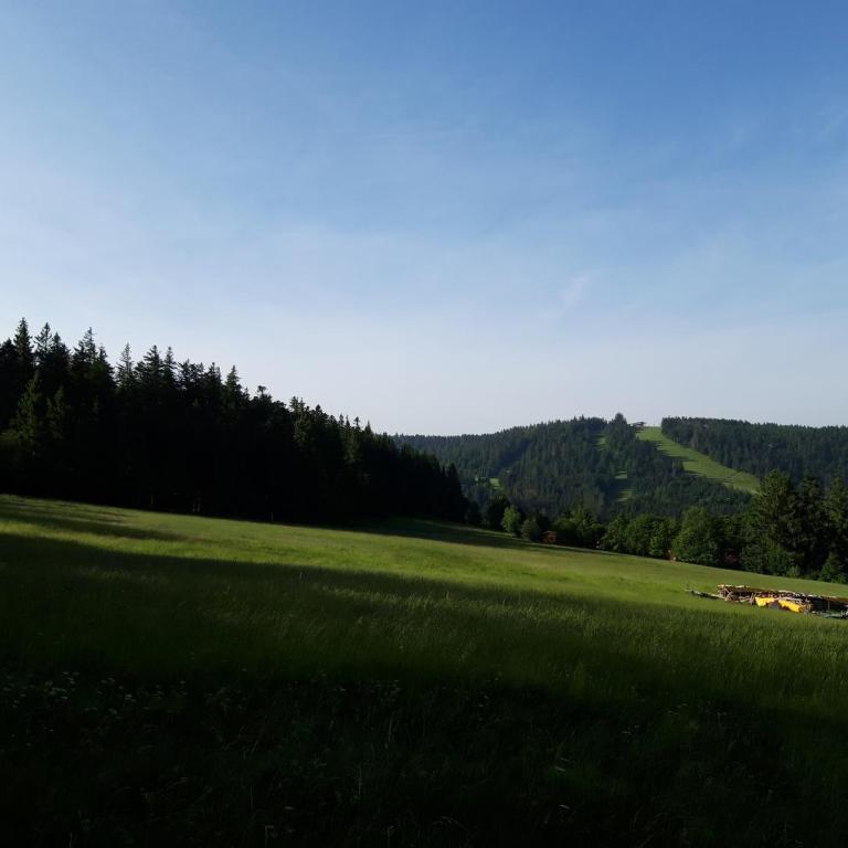 Les Jonquilles: gîte 8/10 pers. avec vue imprenable! - Appartement avec Vue sur la Montagne - 27