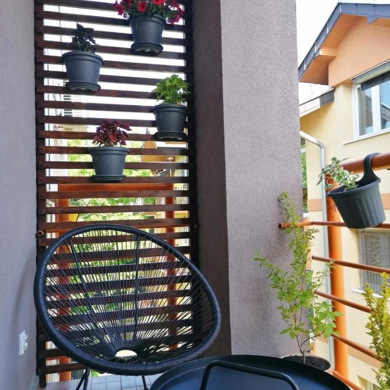 KoKo apartman - Apartman sa 1 Spavaćom Sobom - 6