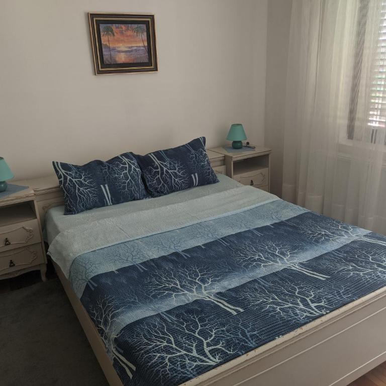 Sokobanja Apartmani - Apartman sa 1 Spavaćom Sobom - 2
